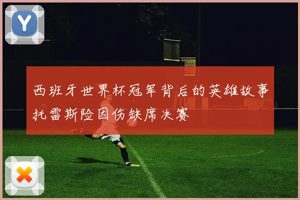 西班牙世界杯冠军背后的英雄故事托雷斯险因伤缺席决赛